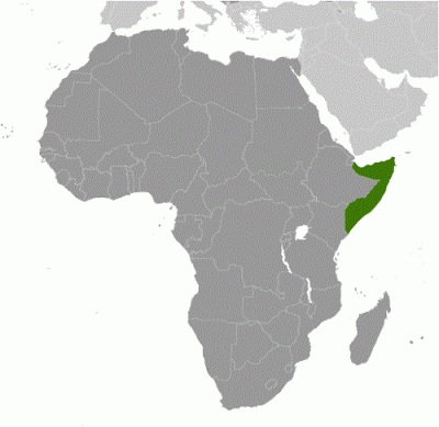 Map of Somalia with location in Africa