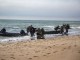 10th SFG Dive Team in Latvia May 2021