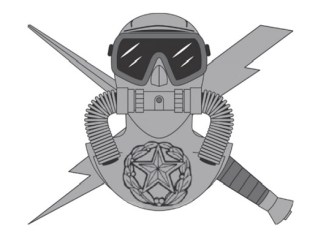 Air Force Combat Dive Supervisor Badge
