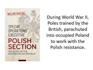 Book Review Special Operations Executive Polish Section