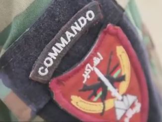 Commando Patch ANA