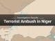 Niger Ambush Investigation