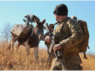 An Army Special Forces Soldier guides his pack animal during training. (Photo U.S. Army, 2017)