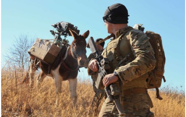 An Army Special Forces Soldier guides his pack animal during training. (Photo U.S. Army, 2017)