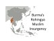 Burma's Rohlingya Muslim Insurgency
