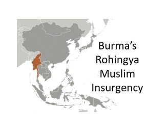 Burma's Rohlingya Muslim Insurgency