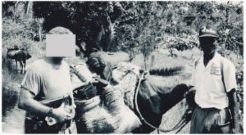 Use of pack animals in Haiti by Special Forces in 1995.