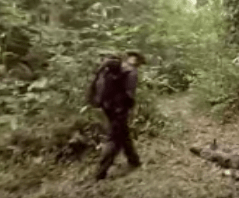 French Foreign Legion deep in the jungle video