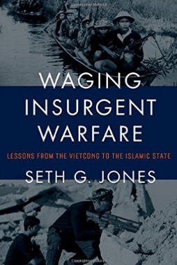 Waging Insurgent Warfare by Seth Jones